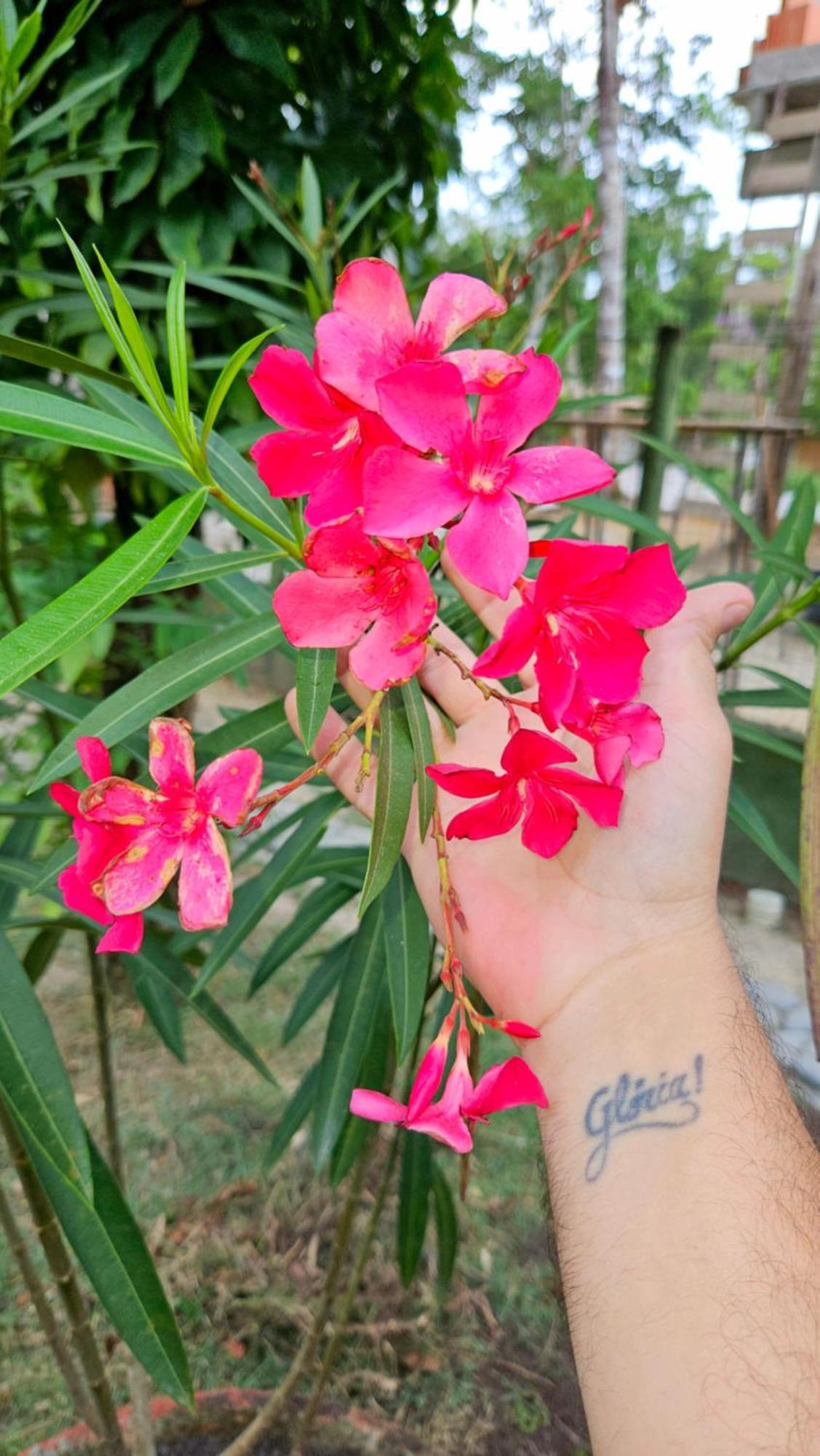 Casa de férias Cozy Eco - 8 Min. From Downtown Arraial Porto Seguro